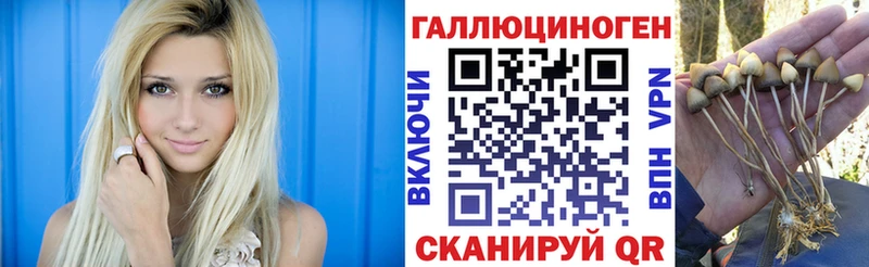 Псилоцибиновые грибы MAGIC MUSHROOMS  закладка  kraken маркетплейс  Верея 