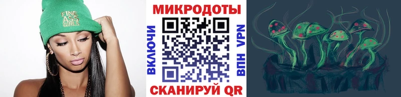 Псилоцибиновые грибы мицелий Верея